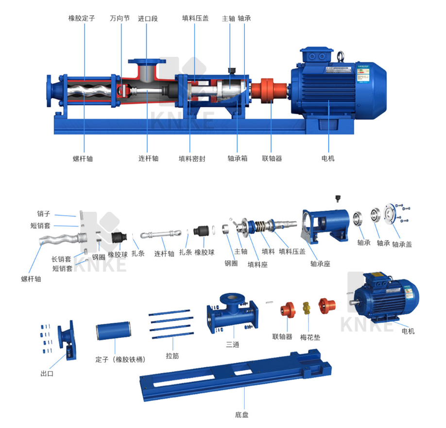 進口無極調(diào)速螺桿泵結(jié)構(gòu)圖